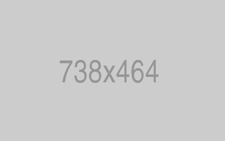 Charvi_Assets_0fds